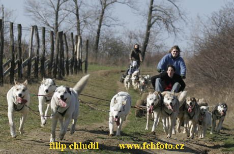 Hustopece 08 - 194.JPG